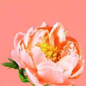 No te debo nada (Cabrón que me pasa)