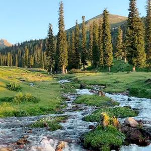 Hero Tonight 英雄 (爱的故事上集英文DJ版)