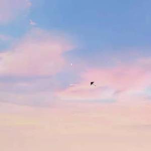 第八贤（prod by XALER）