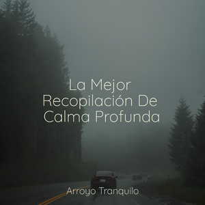 Momentos De Tranquilidad