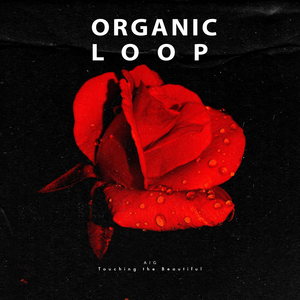 Touching the Beautiful (Original Mix)
