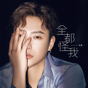 全都怪我
