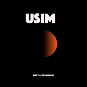 Electric Moonlight (Ambient Mix)