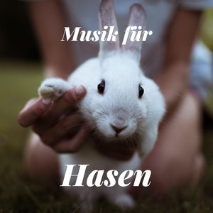 Tiefenentspannungsmusik