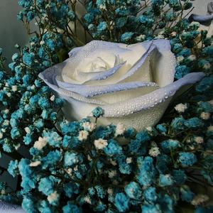 茉莉雨-缘分竟然默许你离去（钢琴）