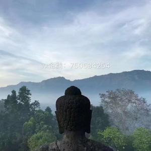 郭聪明-你会遇见更好的人dj-抖音版（浪子鹏鹏 remix）