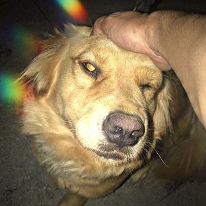 正解 (prod. by s!koo )