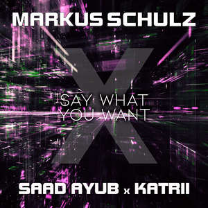 Say What You Want (Extended Mix)