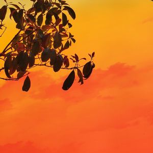 微笑吧，去成为你想成为的人