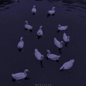 带我走（翻自 沈以诚）