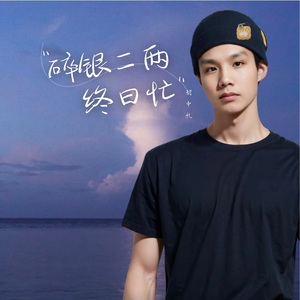 碎银二两终日忙 伴奏