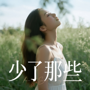 少了那些