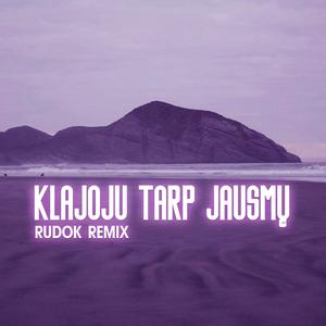 Klajoju Tarp Jausmų (RUDOK Remix)