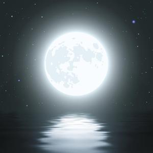 白月光与朱砂痣（温柔男版）