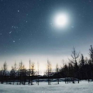 ひとりごとの君へ