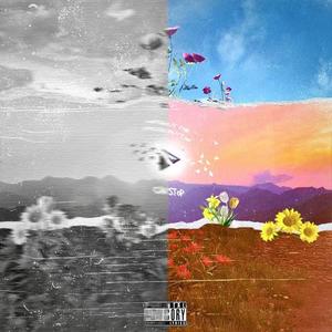 没有暂停键可以Stop