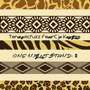 One Night Stand (feat. Cjo Kaygee) (Danzito Mix)