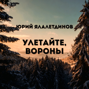 Улетайте, вороны