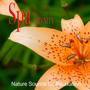 Spa Relaxation (Relaxing SPA Music)