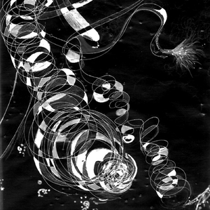 Lairn (Music for an Exit)