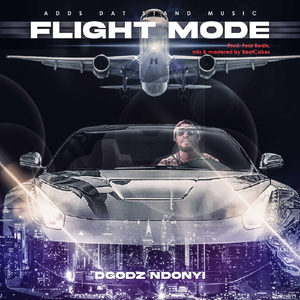 Flight Mode