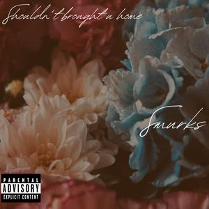 Shouldn't Brought U Home