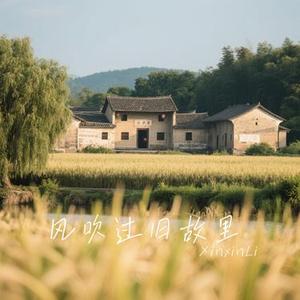 风吹过旧故里 (Cover 何渊)