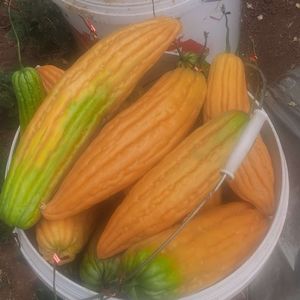 温柔谢幕_未命名