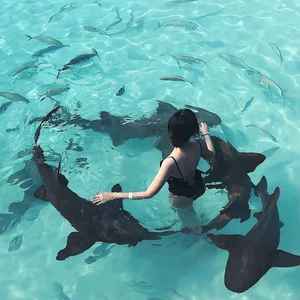 遗憾才是人间常态