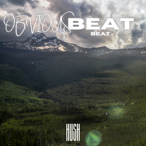 【Beat】'Obvious' | 国蛋 Type Beat