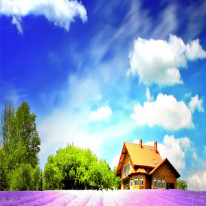 Miss too much (DJ version)