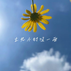 去见小时候一面