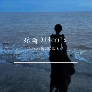 sea蕊-死海2024DJ版（ZVHSDJ光头Remix）