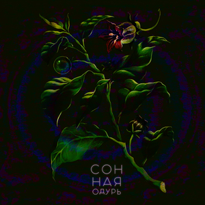 Лунное затмение