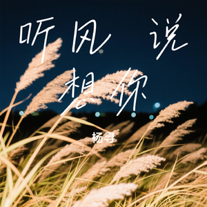 听风 说想你