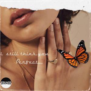 I Still Think You Perfect