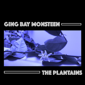 Ging Bay Monsteen