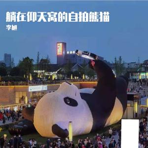 躺在仰天窝的自拍熊猫