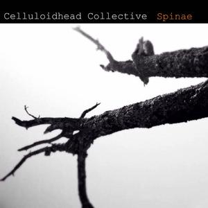 Spinae