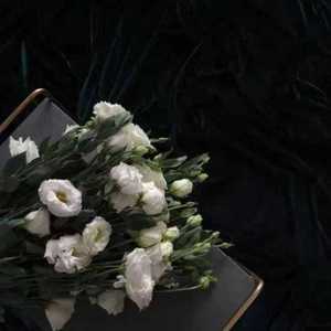 为你我受冷风吹