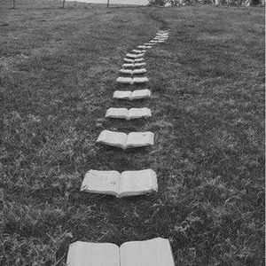 lull pageless