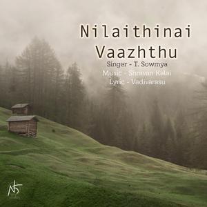 Pirandhidumbodhu (feat. Sowmya T)