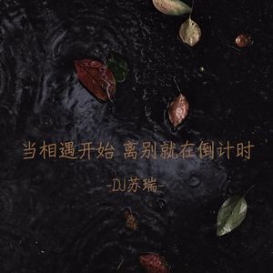 一站有一站的风景