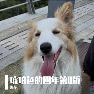 琥珀色的四年第0版