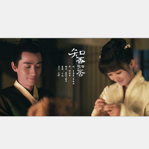 知否知否（翻自 胡夏）