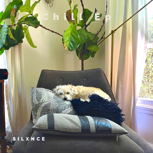 West (feat. N0ne) (Silxnce Remix)