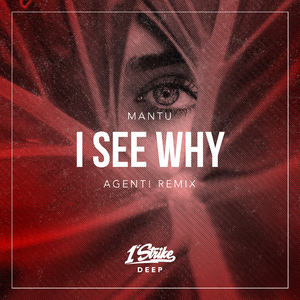 I See Why (AGENT! Remix)