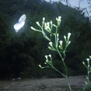 after all the bad something good must happen.