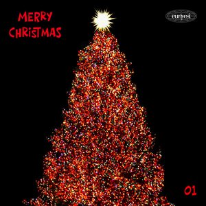 Midnight in December