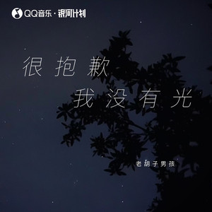 很抱歉我没有光